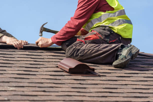 Best Roof Maintenance Services  in Anchor Point, AK