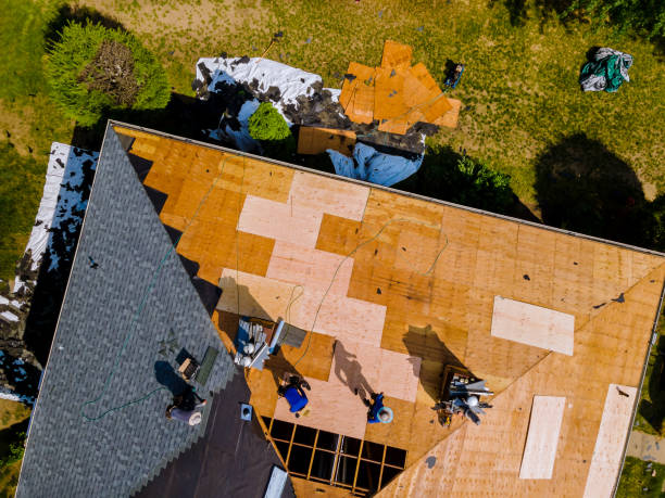 Best Roof Repair Services  in Anchor Point, AK