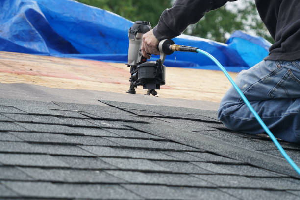 Best Roof Gutter Cleaning  in Anchor Point, AK