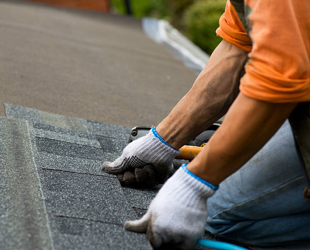 Best New Roof Installation  in Anchor Point, AK