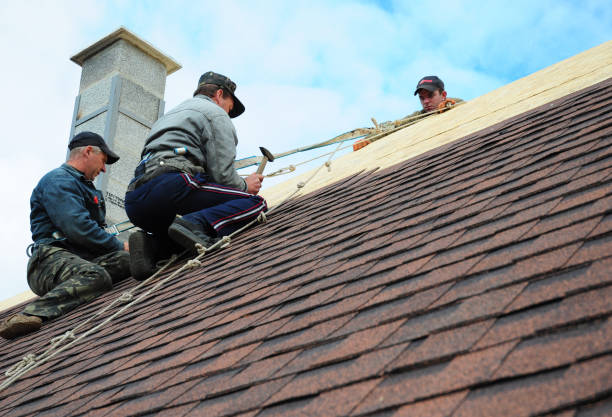Best Roof Leak Repair  in Anchor Point, AK